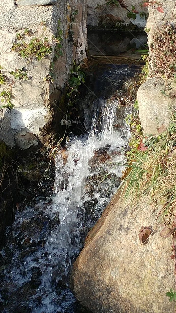 water
