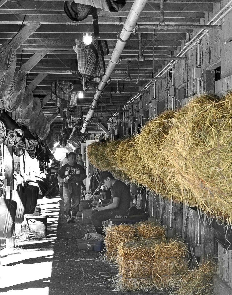 Horse Haven by zazzle.com/fleetphoto