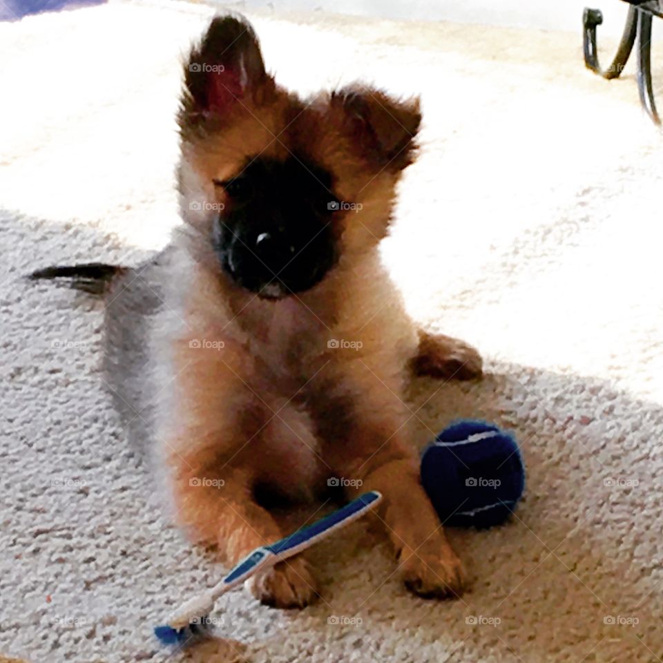 Good hygiene...always!