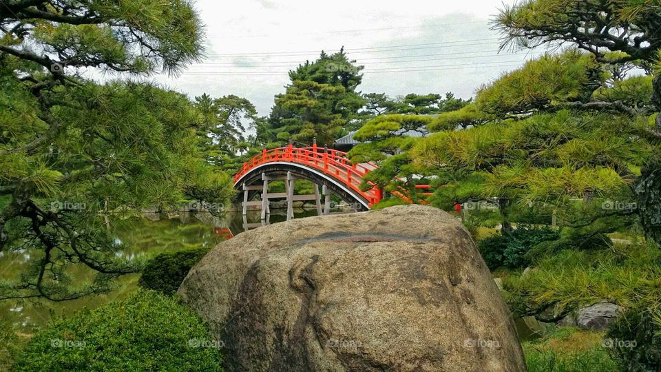 Japanese garden...