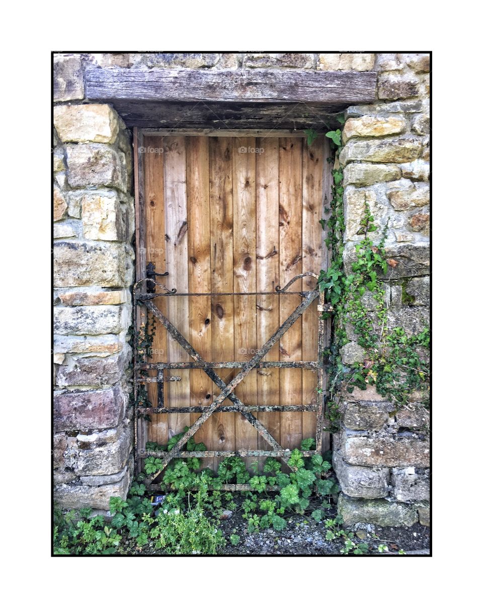 Wood door 2