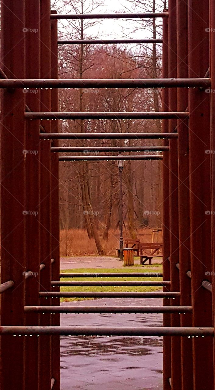 Rainy day in the park.