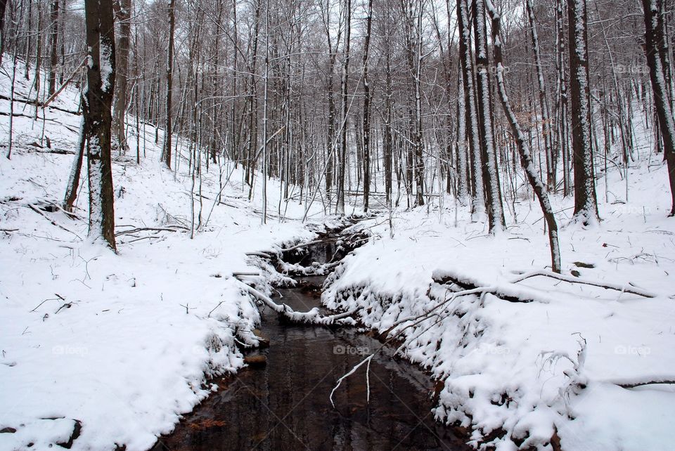 Winter stream