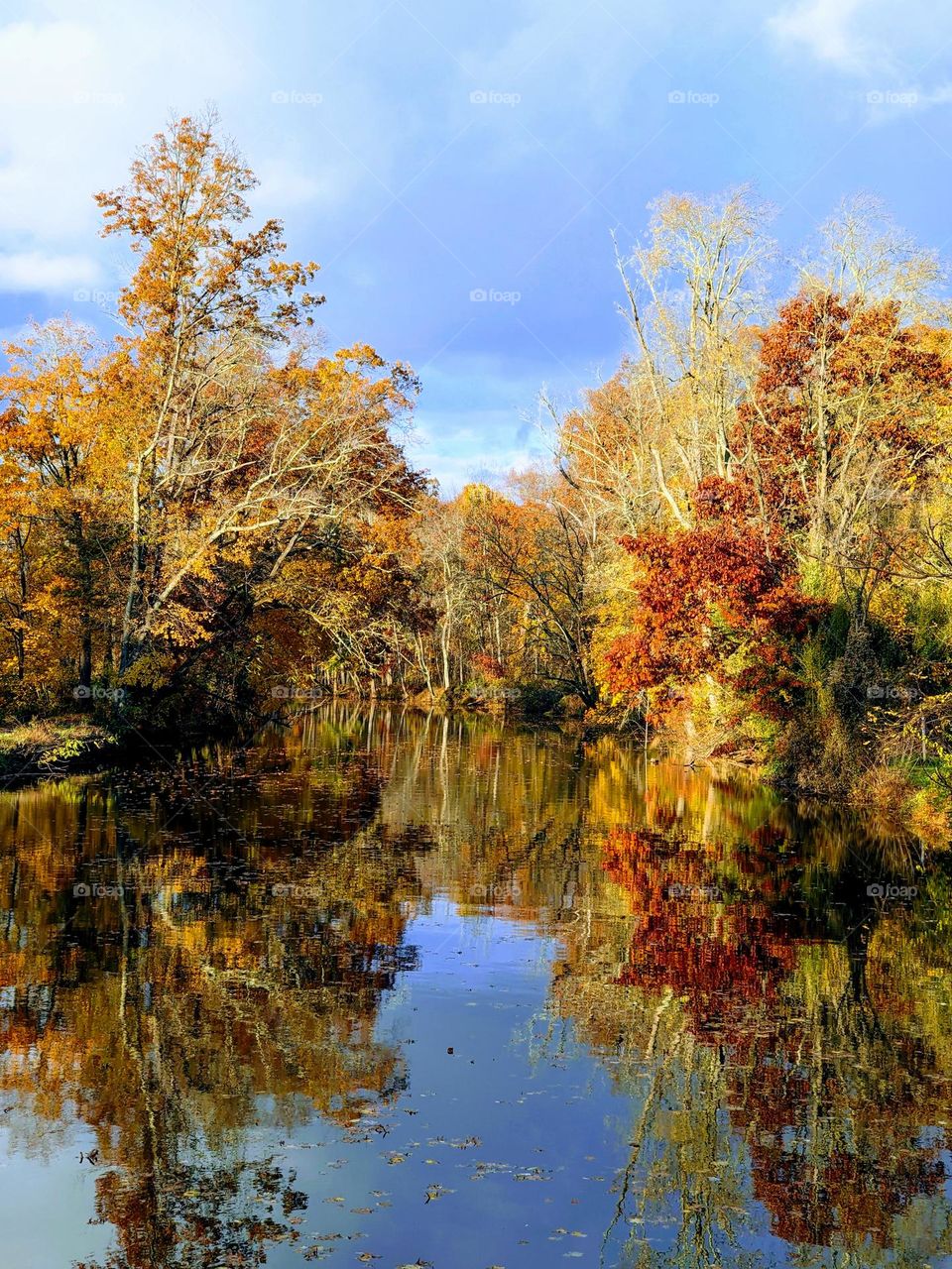 Autumn River