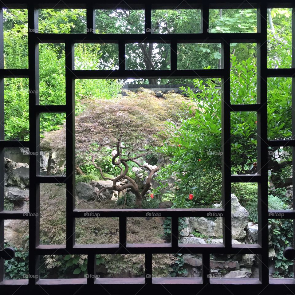 Window, Nature, House, Wall, Picture Frame