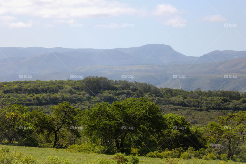 African bushveld landscape