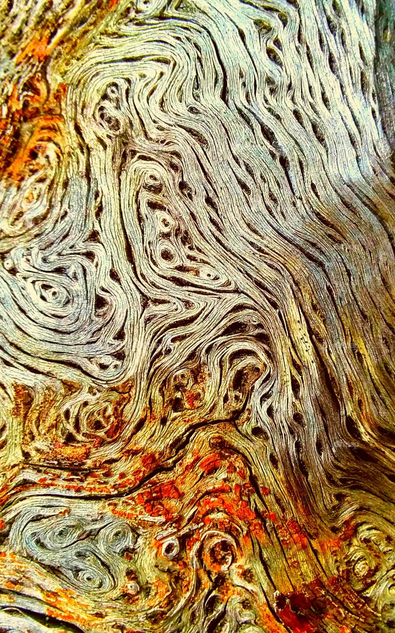 twisted wood