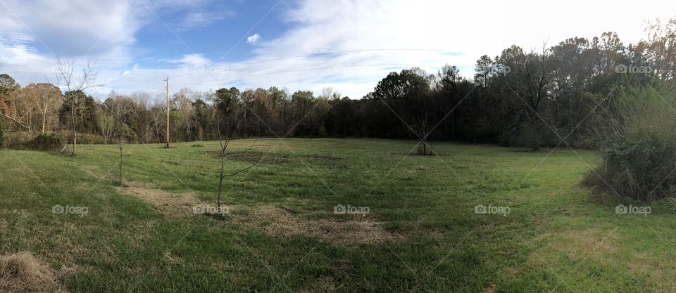 Shorter pano of the hayfield that backs up to my side yard <3