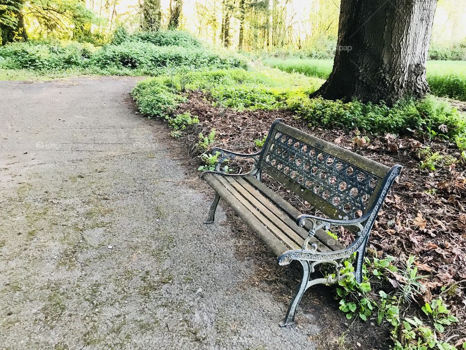 A bench for thoughts