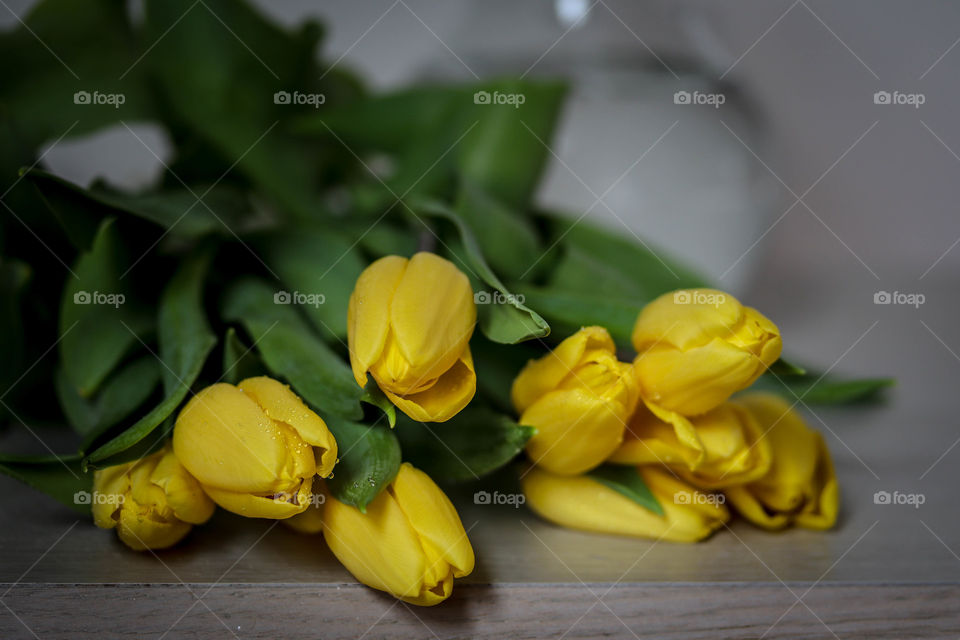 Bunch of freshly cut yellow tulips