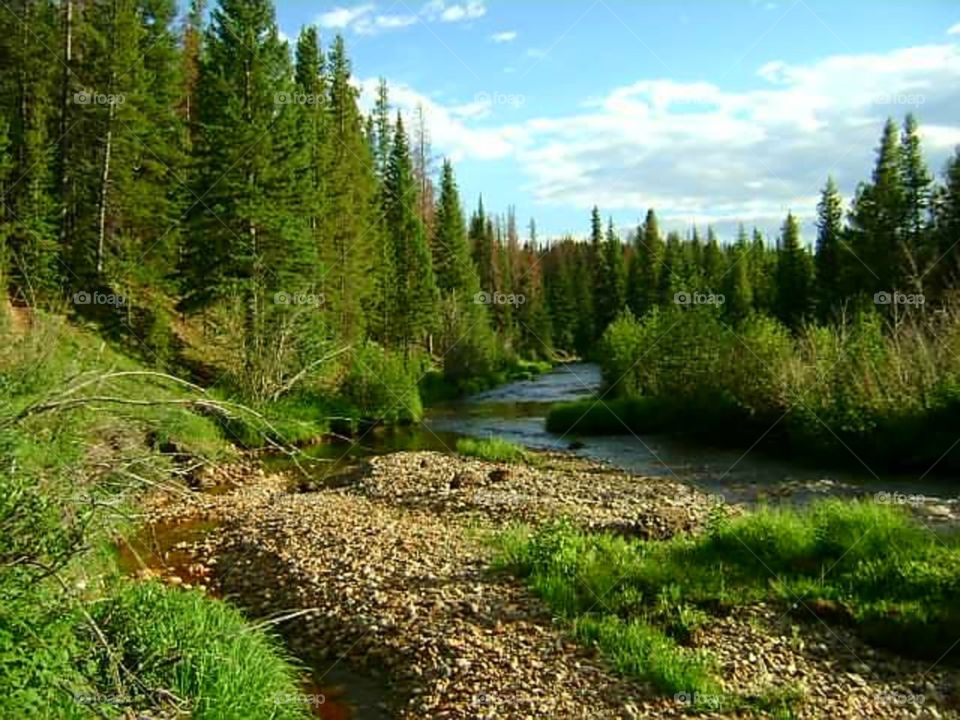 Colorado. There are so many streams you can find bending and weaving through. It's a delight to find them!