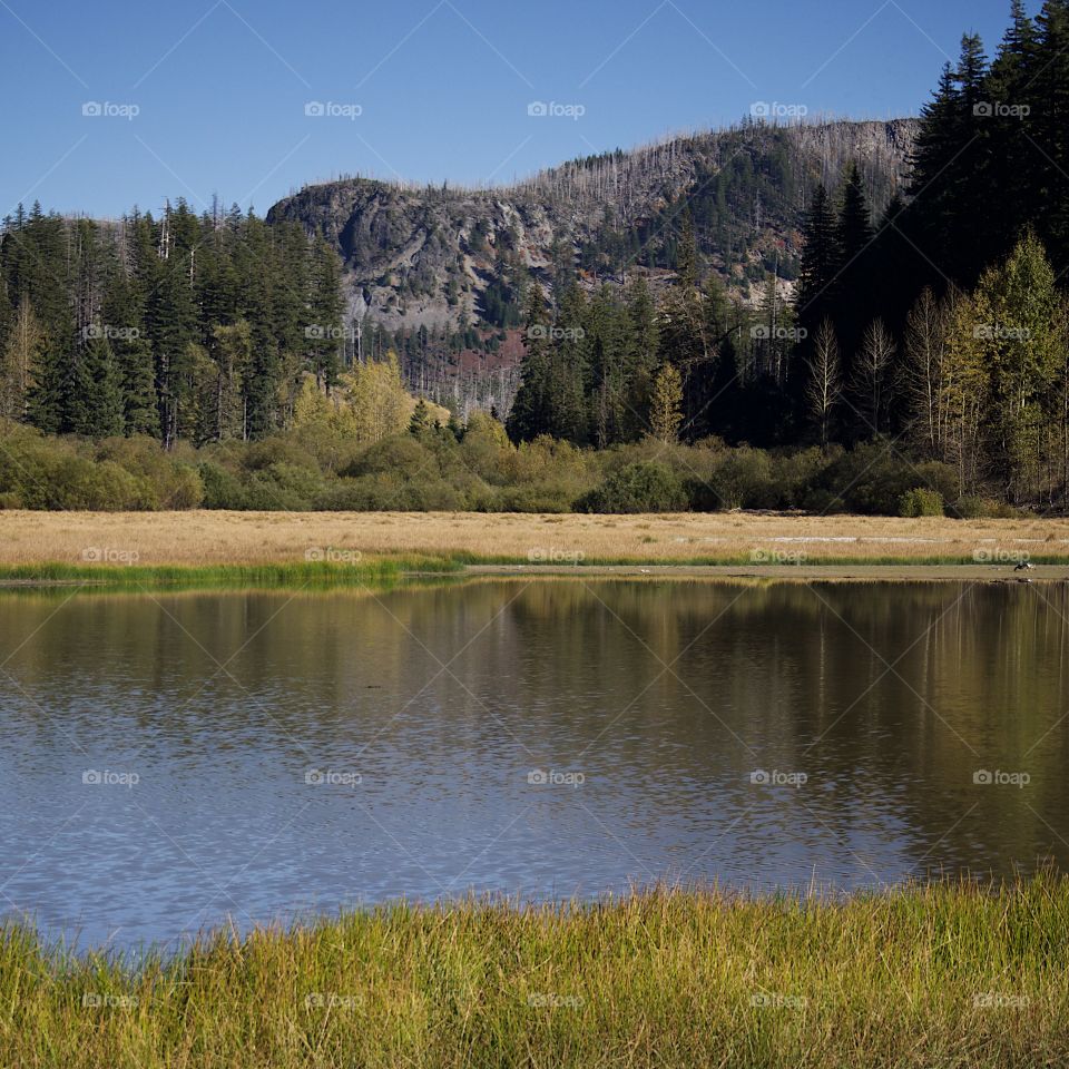 Lost Lake off of the Santiam Pass in Oregon’s mountains with multicolored trees reflecting in its waters on a beautiful sunny fall day.