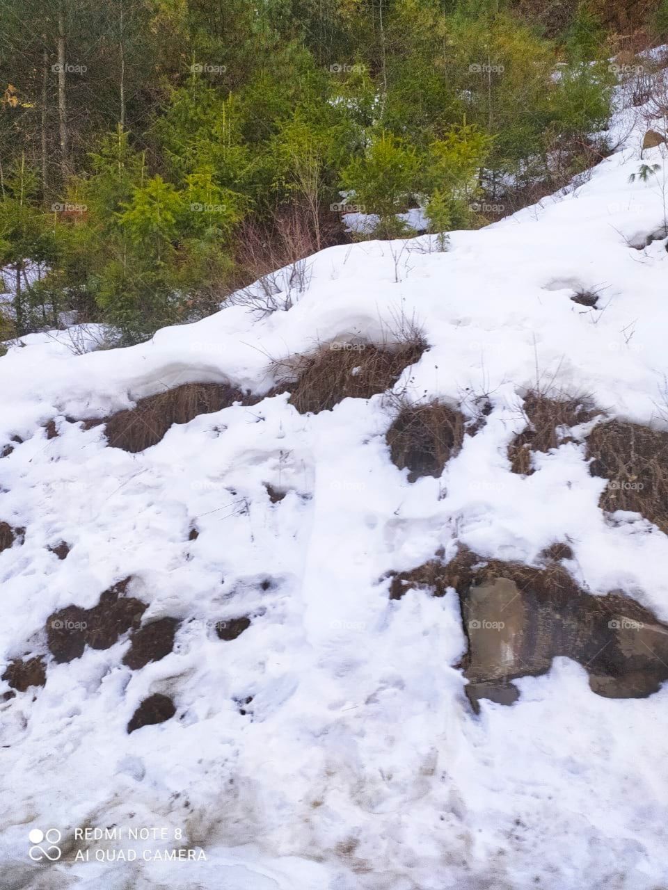 Hatu peak is located in Shimla district of Himachal Pradesh, India at an elevation of 3400 m above sea level. The peak is surrounded by dense forest of conifers, oaks and maples.