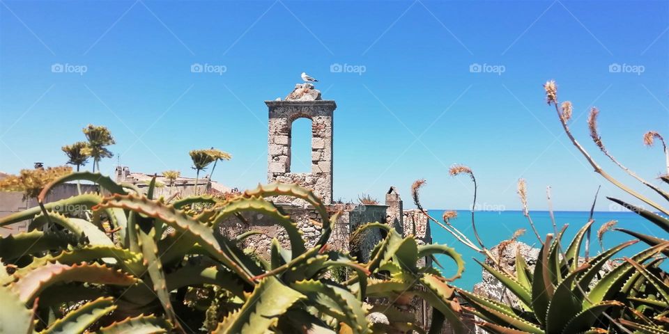 The seagull sat down to rest on the coastal fortress wall in the midday hit. The azure sea and southern plants give a vacation mood.