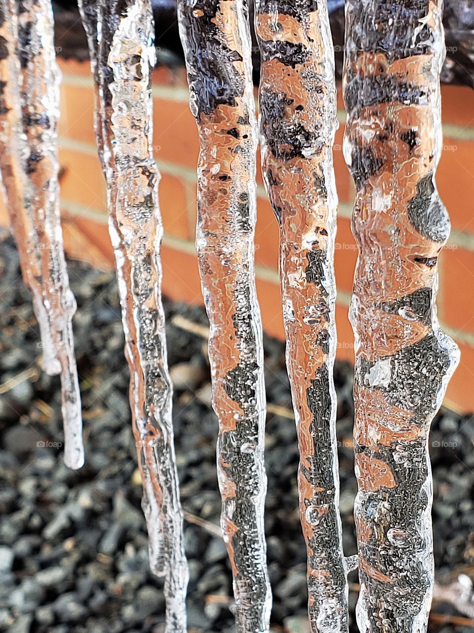 Thick icicles dangle to the Ground on a cold winter day. 