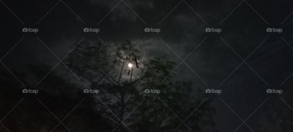 Full moon night 🌃 , trees and sky.
