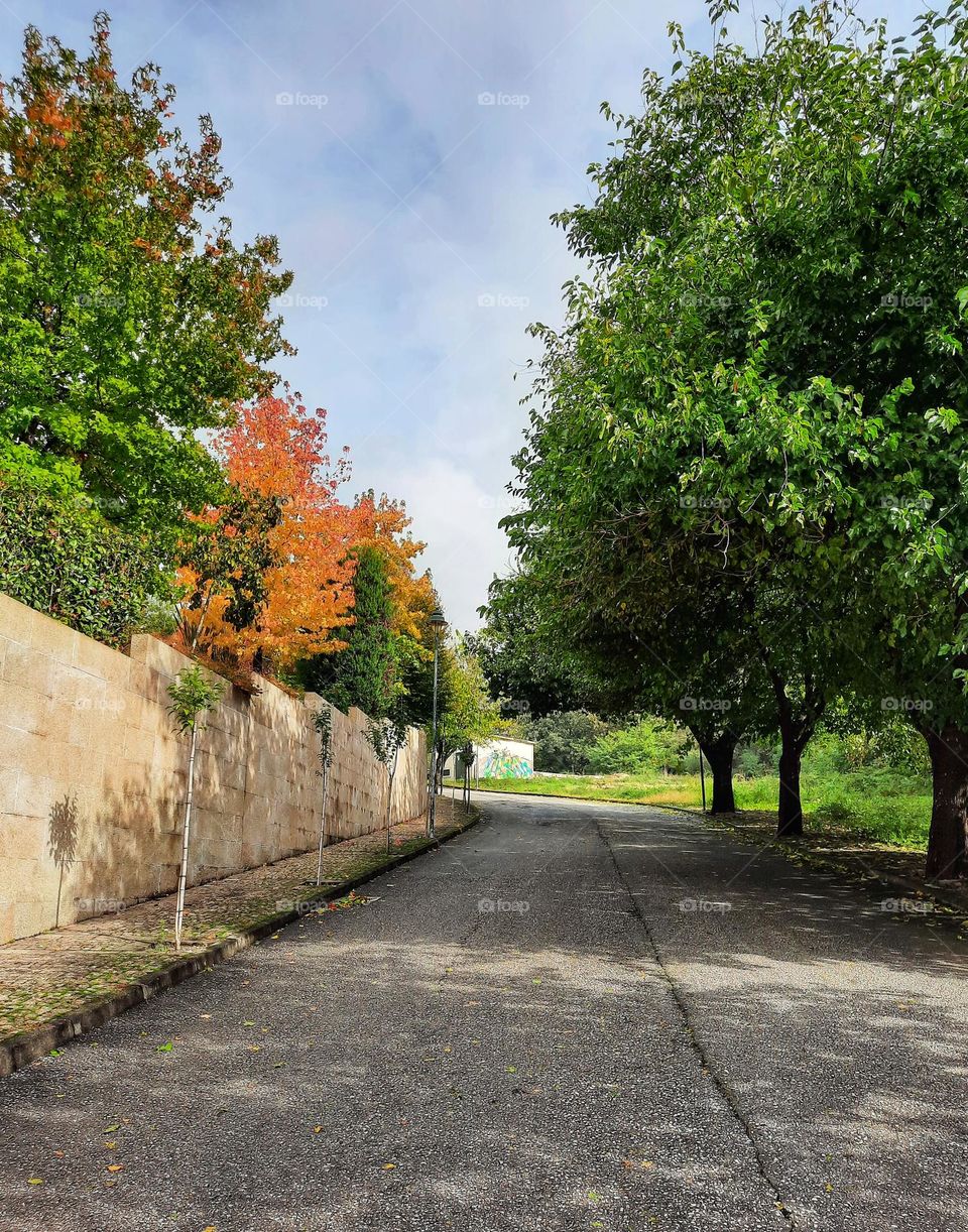 Autumn/Fall in Portugal