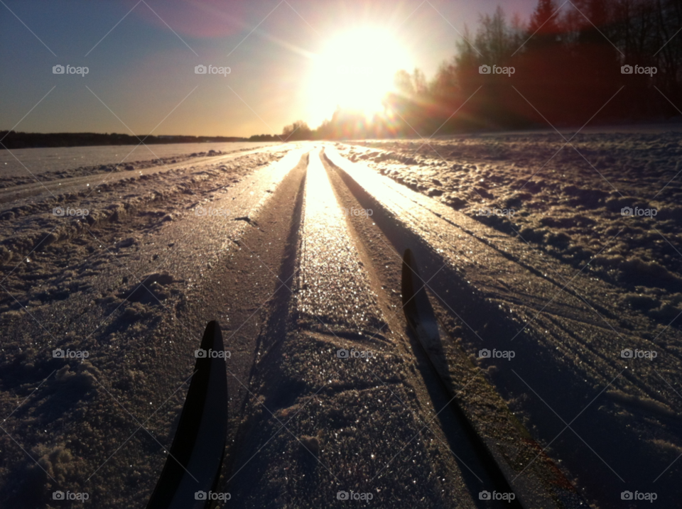 sweden snow winter sun by Armann
