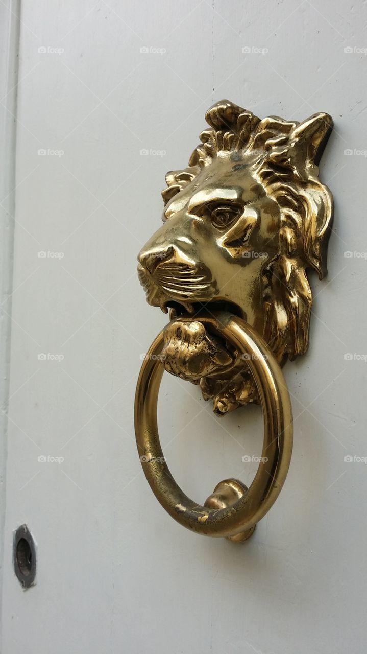 Lion head door knob knocker