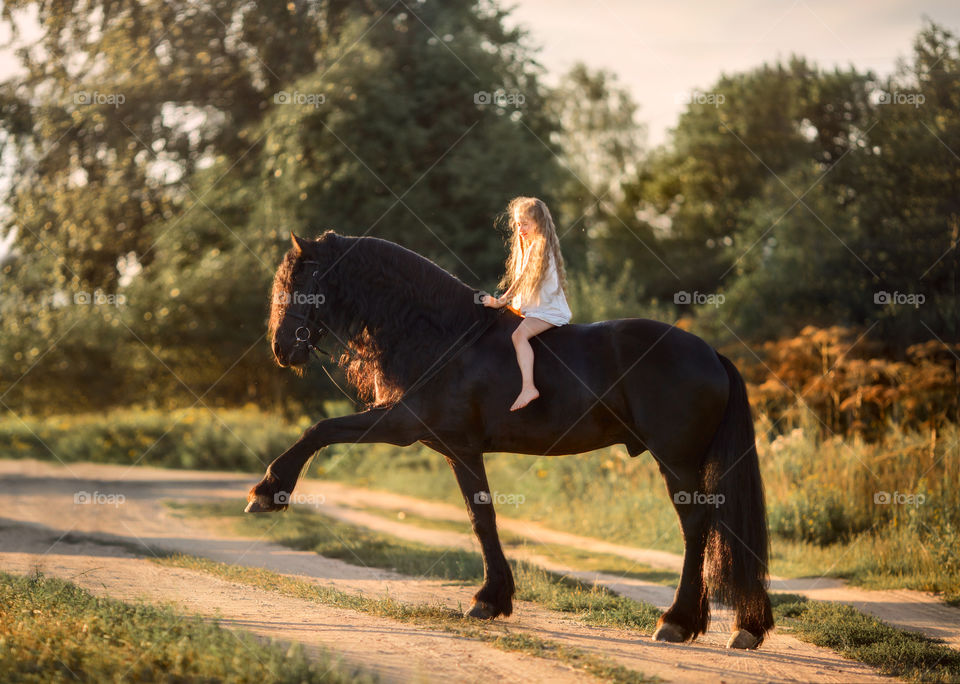 Little girl with black fresian stallion at summer evening 