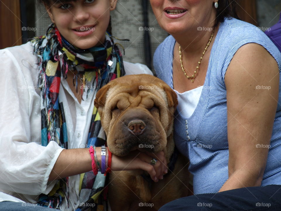 Blind sharpei