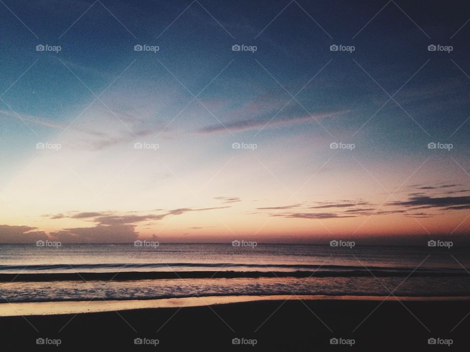 Everything the light touches