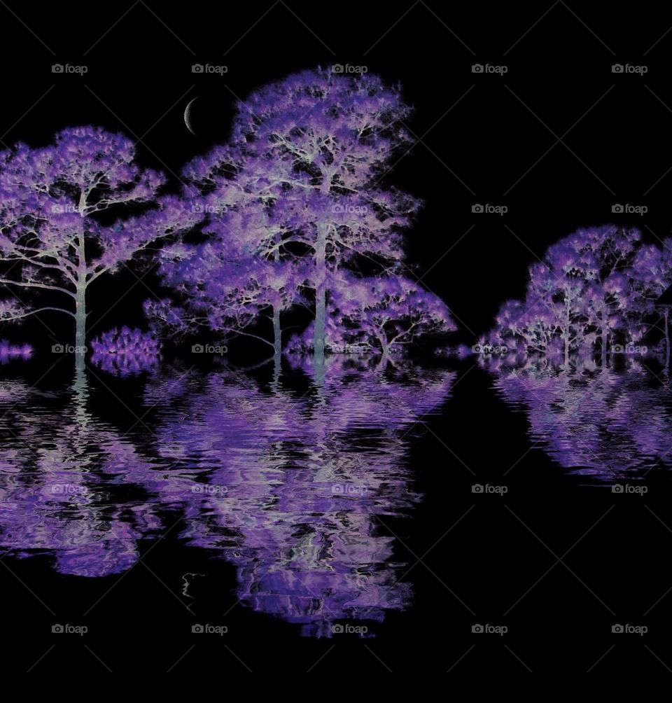 Purple trees reflections