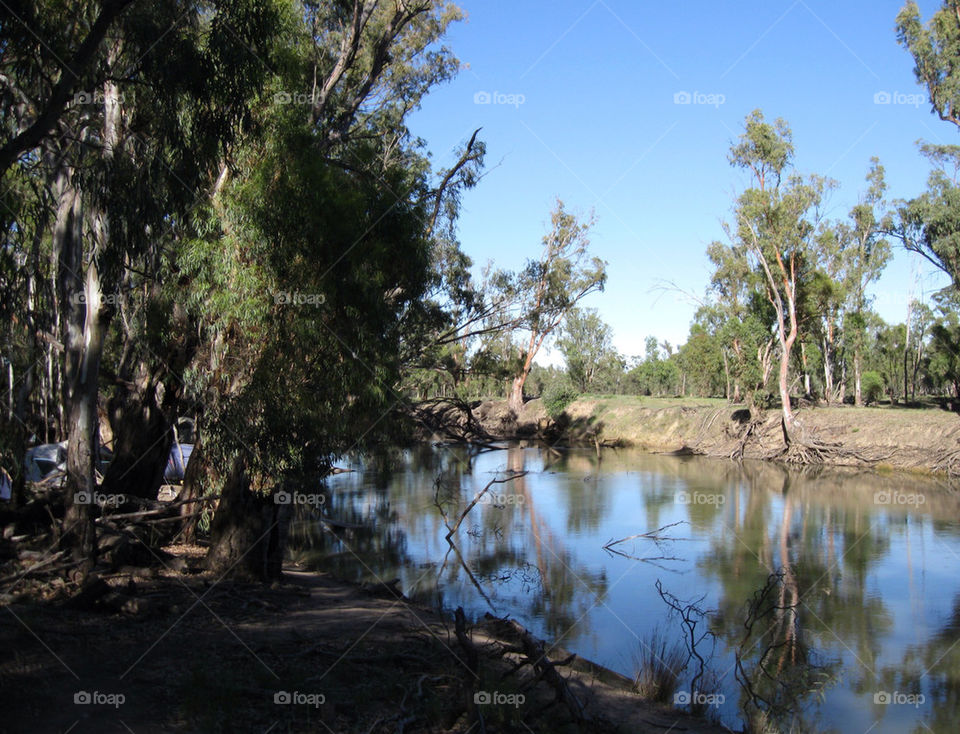 Serene Australian river scene