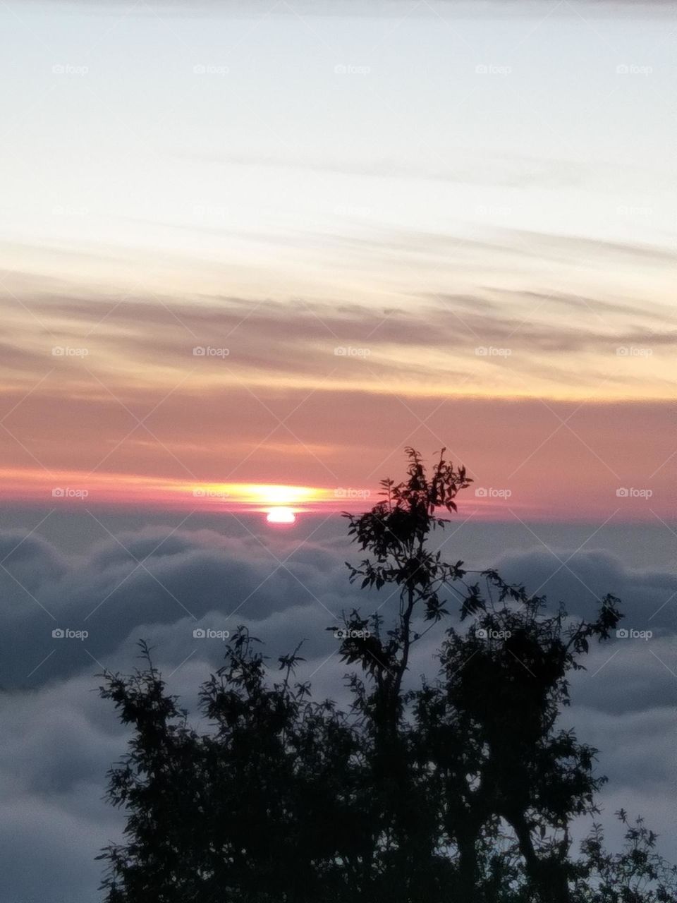 sun setting in clouds