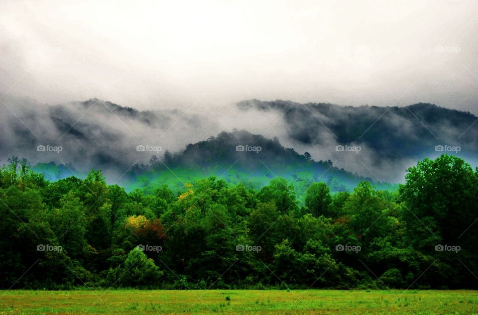 Fog in the mountains