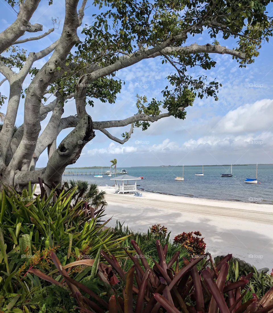 useppa Island Florida