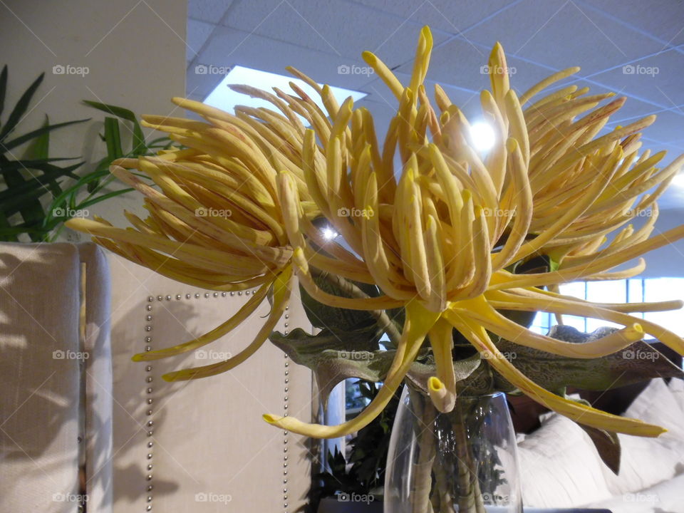 Bob Mills furniture store