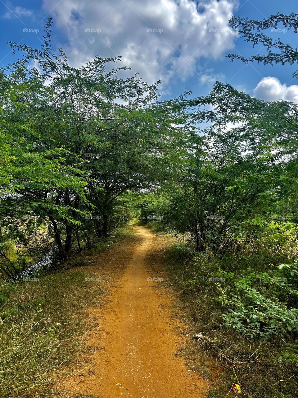 Nature photography - path and clouds 