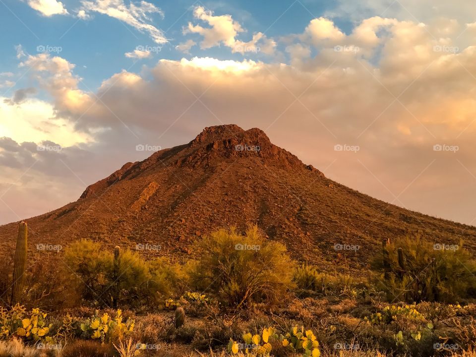 Desert Mountain Landscape 