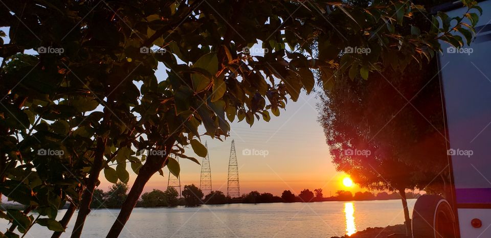 sunset through the trees