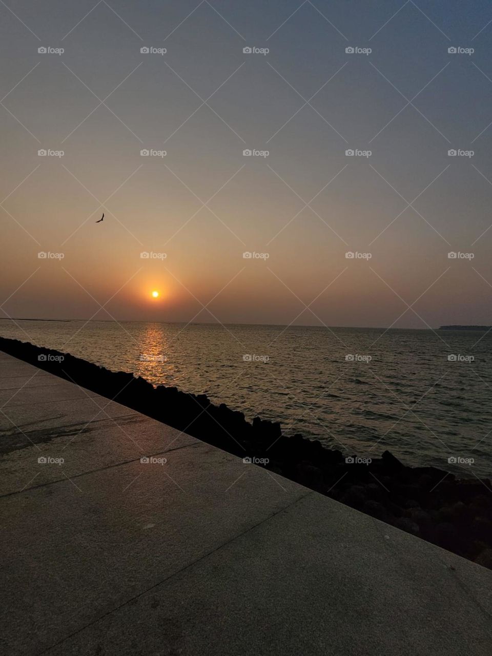 Marine dive at Mumbai