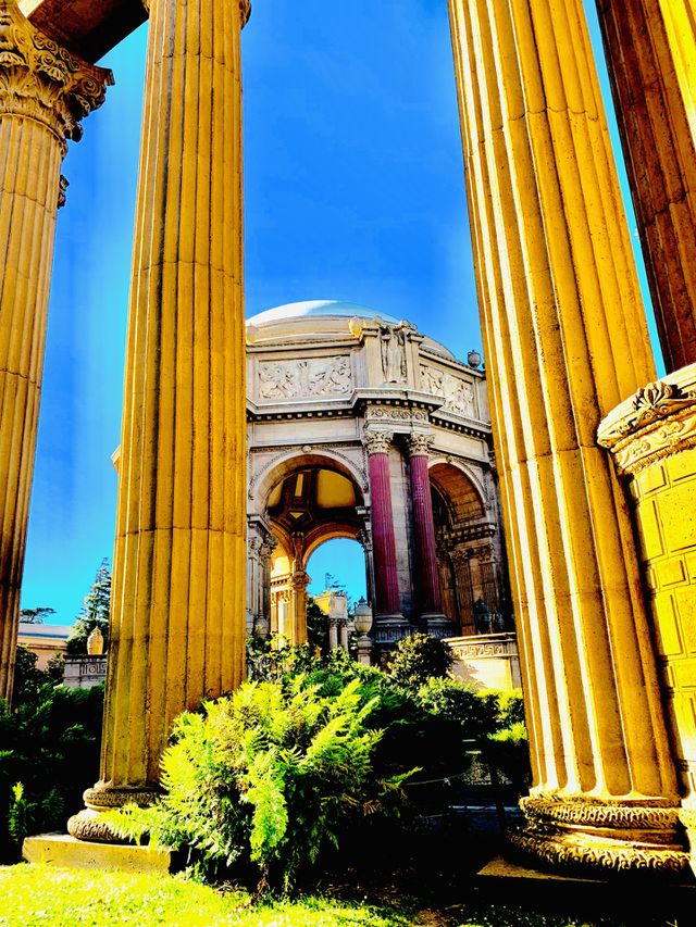 Art Palace View