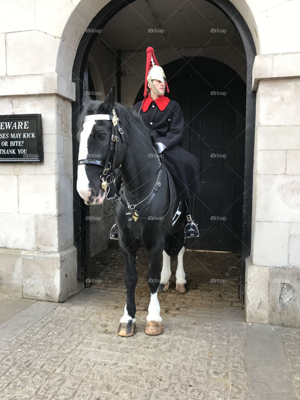 The Queen’s Royal Horseguard. 
London, England 