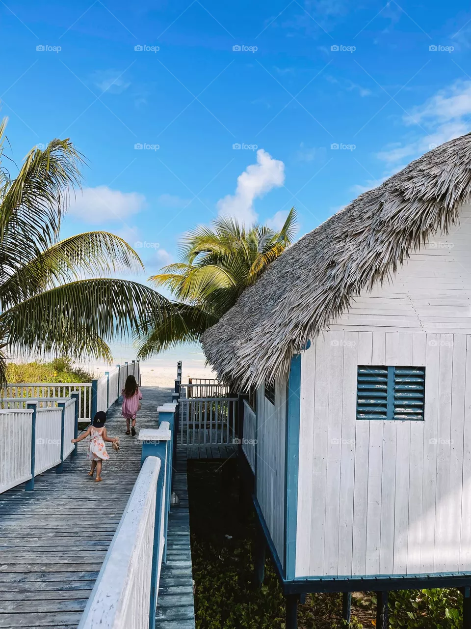 🏝️