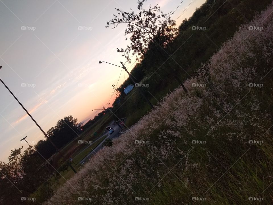 bem vindo foap natureza