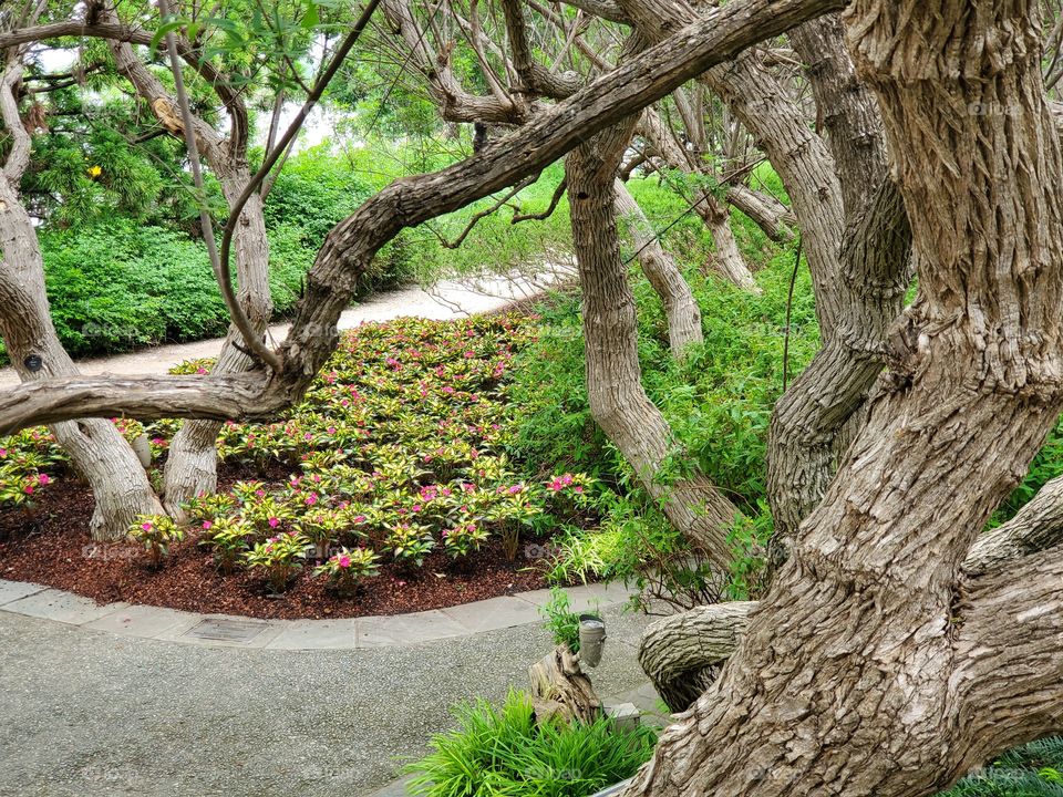 Trees with Character