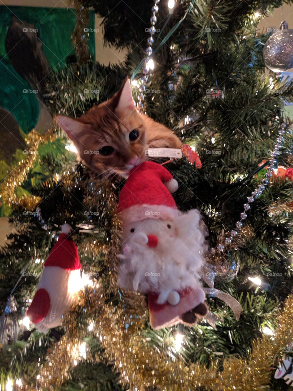 Christmas cat attacking Santa Claus.