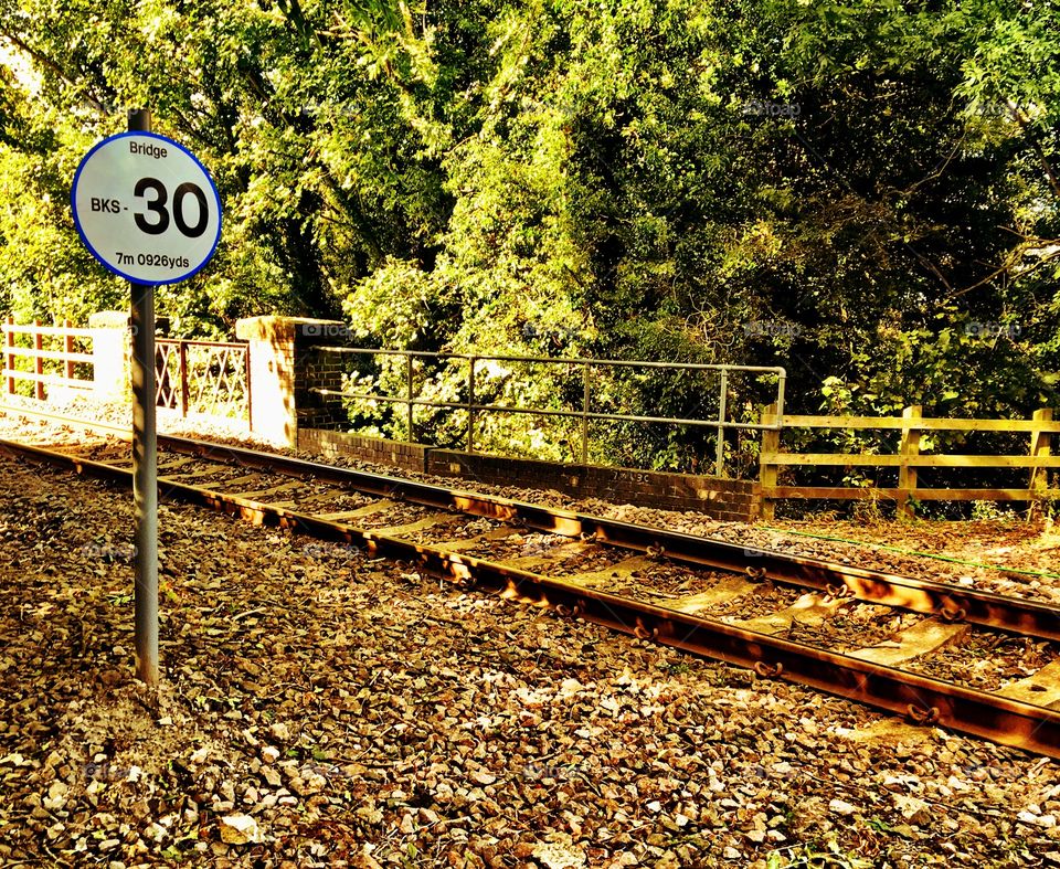 Railway tracks in the woods