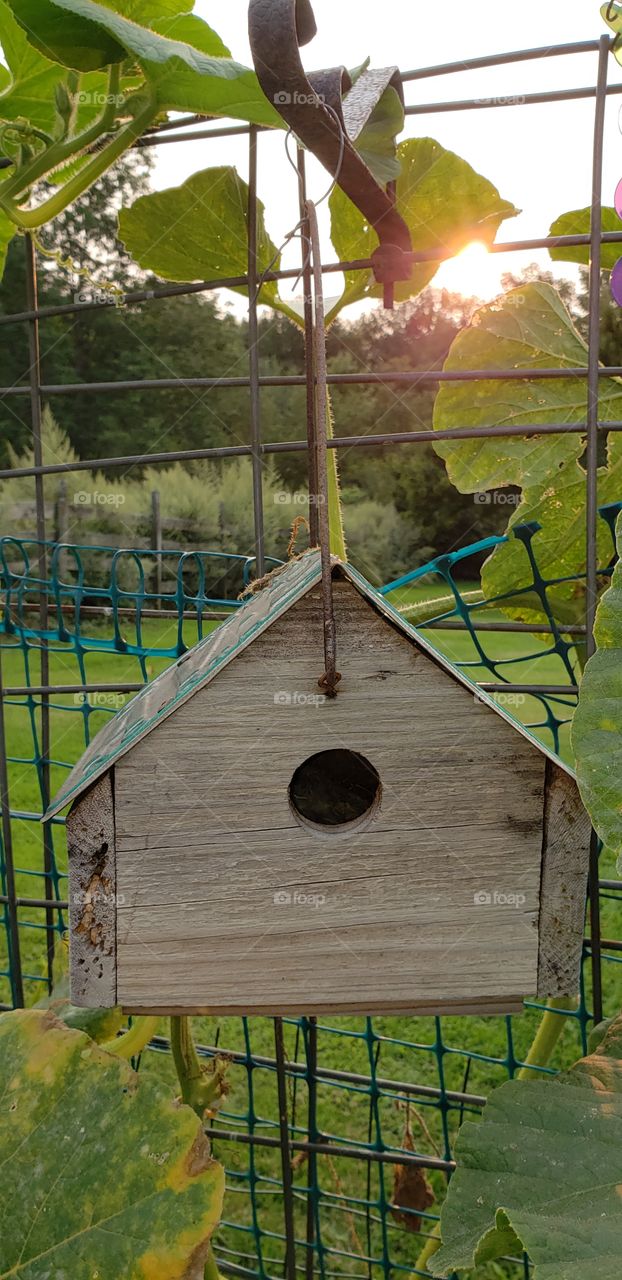Birdhouse Hanging in Garden