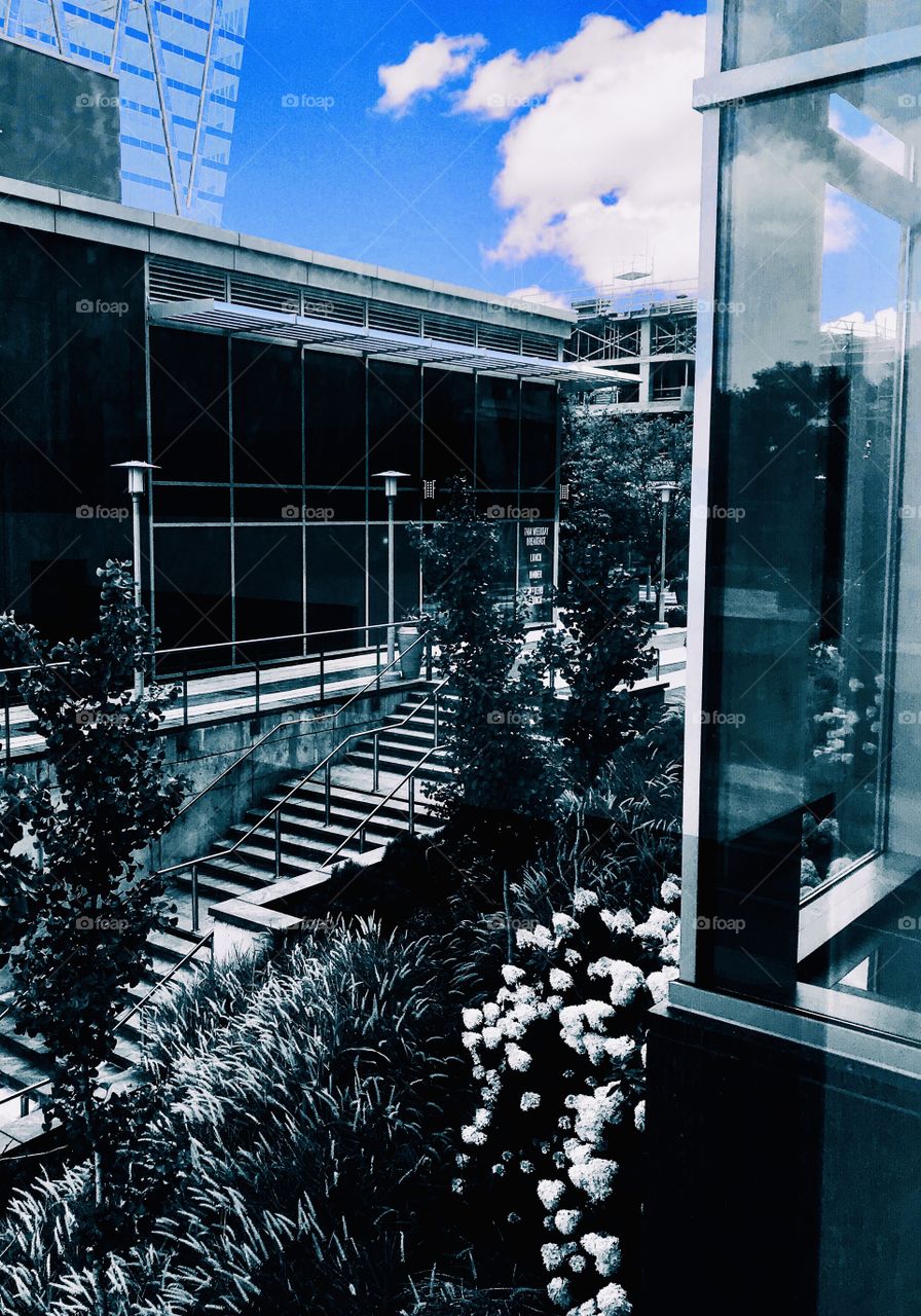 Stairs to the sky rises 