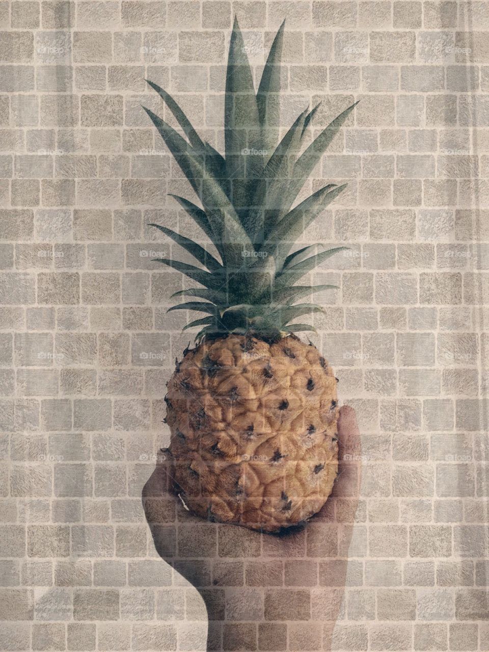 Pineapple