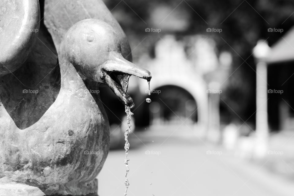 Iron bronze sculpture in park. Sculpture of duck with running water, photographed on a nice sunny day in a park Palic Serbia