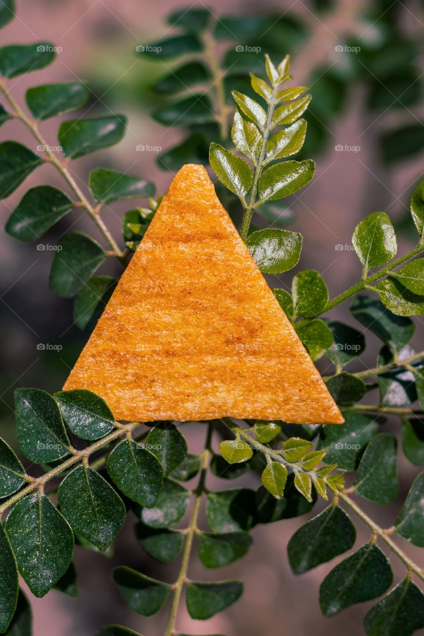 triangle shape chips on plants