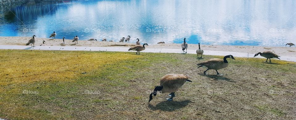 living BEAUTIFULLY & WONDERFULLY Made