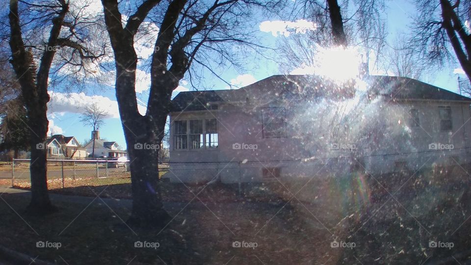 Tree, Landscape, Weather, Park, Winter